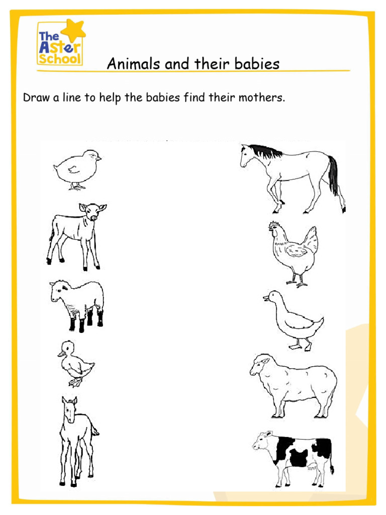preschool-worksheet-pack-4-pdf