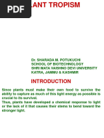 Plant Responses to Environmental Stimuli | PDF | Plants | Biology