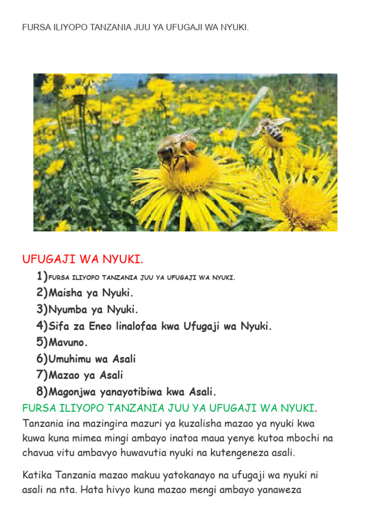 Balele Official Page Fursa Iliyopo Tanzania Juu Ya Ufugaji Wa Nyuki Pdf
