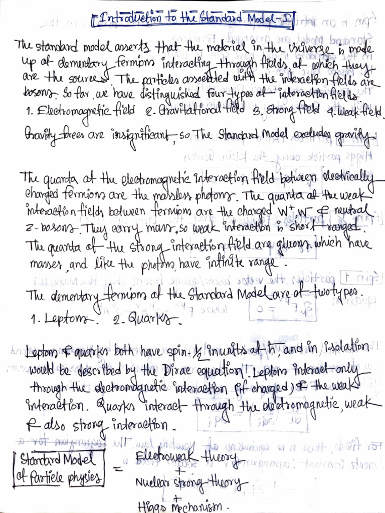 Standard Model - 1 | PDF