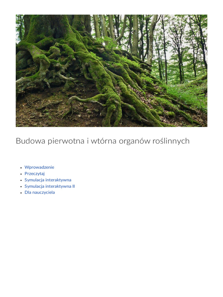 Sukcesja Pierwotna I Wtórna Przykłady Budowa_pierwotna_i_wtorna_organow_roslinnych 2 | PDF