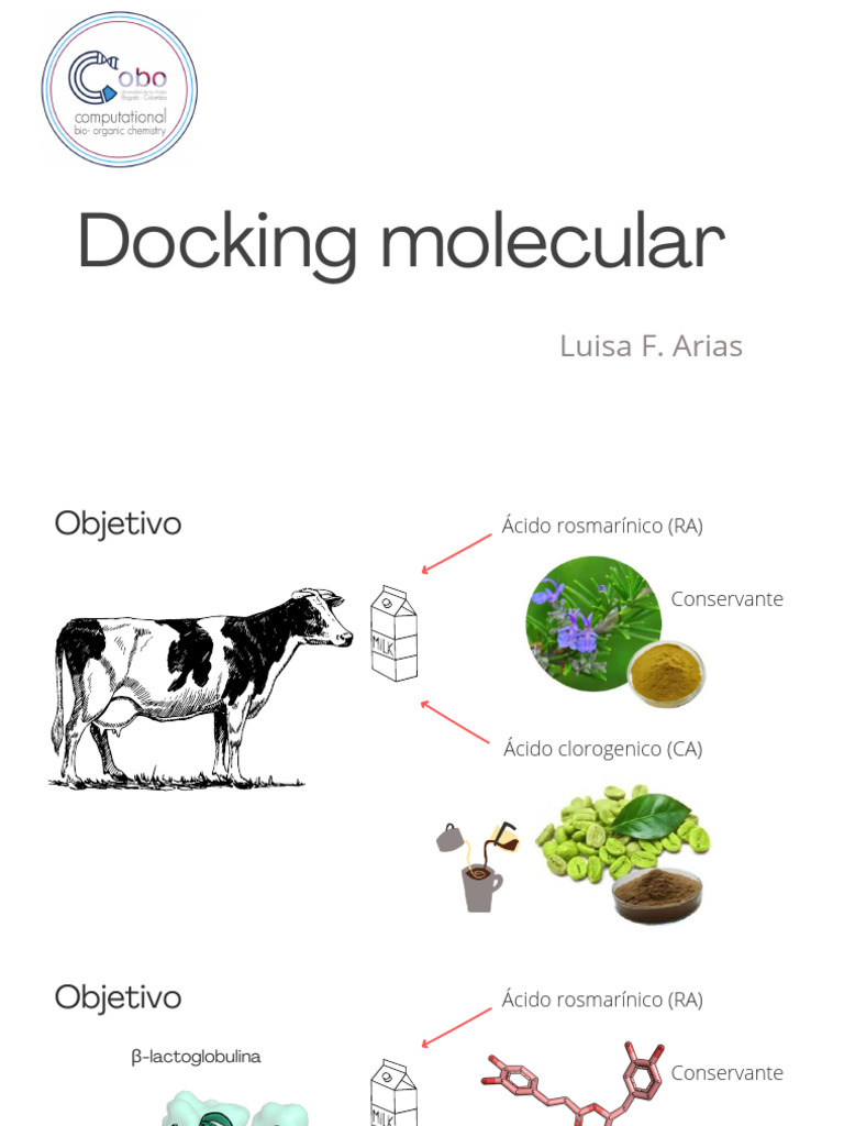 Introducción al Docking Molecular | PDF | Nutrientes | Bioquímica