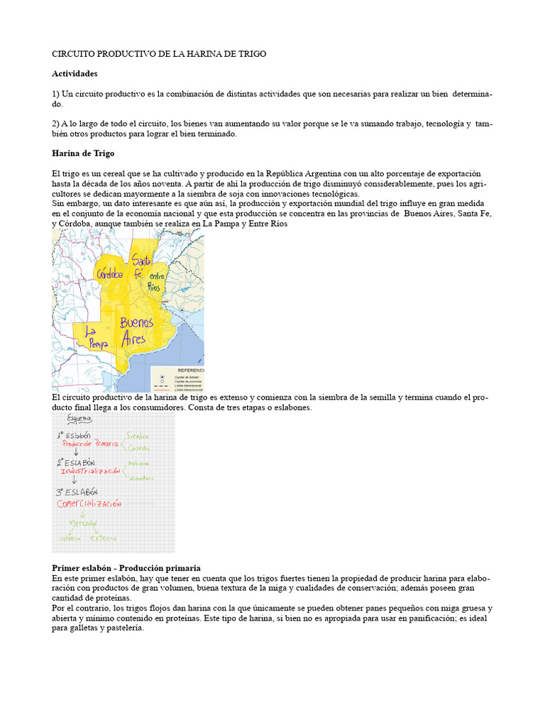 Circuito Productivo de la Harina de Trigo | PDF | Trigo | Harina