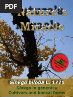 Download Natures Miracle - Ginkgo Biloba Book 1 Vol 1-2 B M Begovic Bego by Branko M Begovi SN74555470 doc pdf