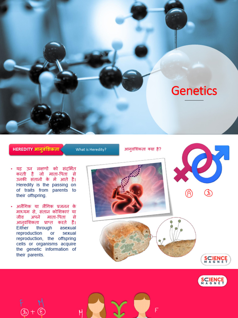 Genetics PDF 20230729121552 | PDF