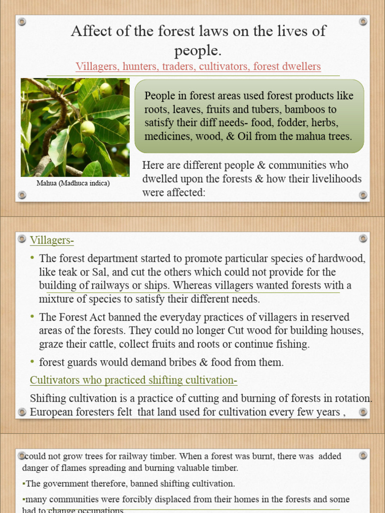 Impact of Forest Laws on Local Livelihoods | PDF