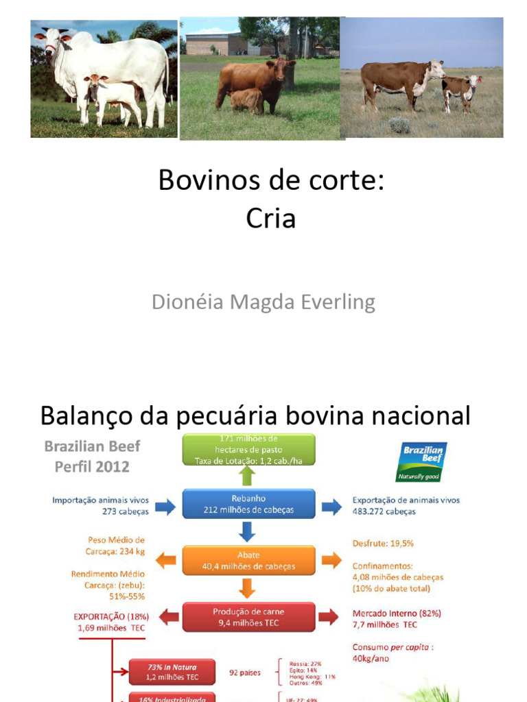 Aula 2 e 3 Cria de Bovinos | PDF | Gado | Parto