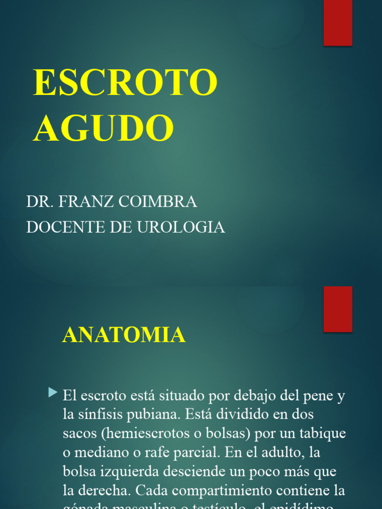 ESCROTO AGUDO | PDF | Testículo | Especialidades Medicas