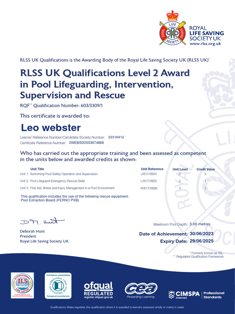 LIFEGUARD CERTIFICATION LEVELS visual data 3