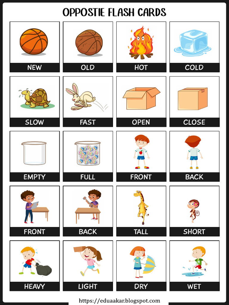 Opposite Teaching Resource | PDF
