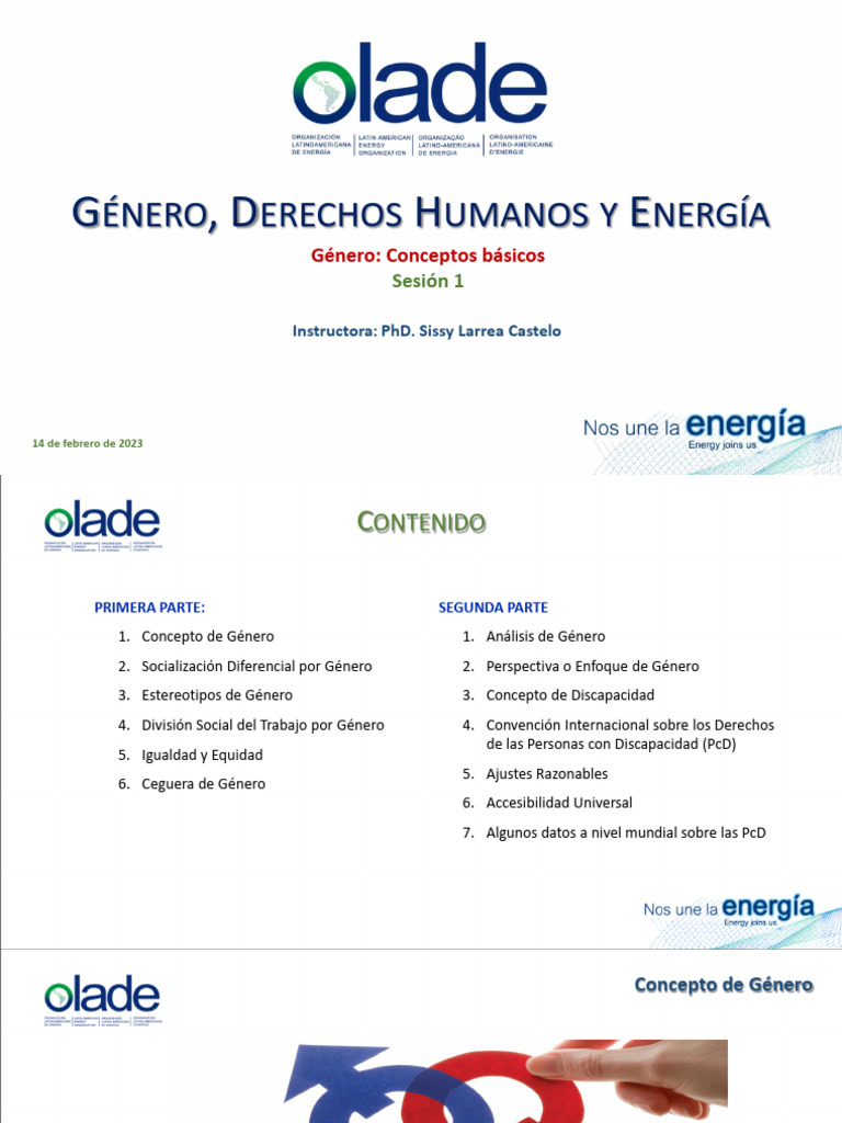 Género y Derechos Humanos en Energía | PDF | Igualdad de género ...