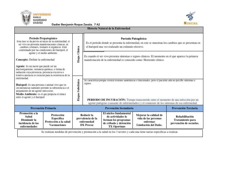 Historia Natural de La Enfermedad (Formato) Dadier Benjamin Roque ...