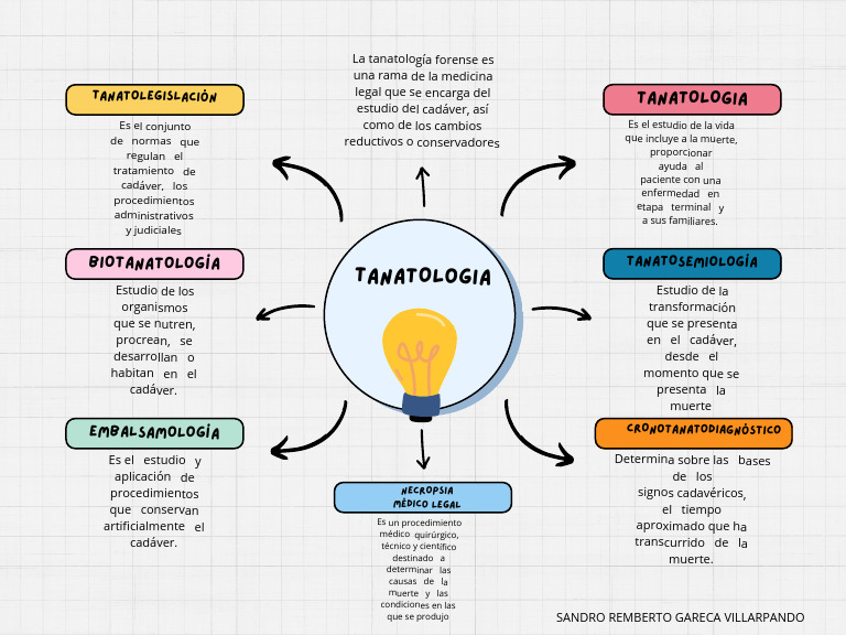Mapa Conceptual | PDF | Medicina | Cuidado de la salud