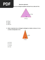 Ejercicios Aplicación Triángulos
