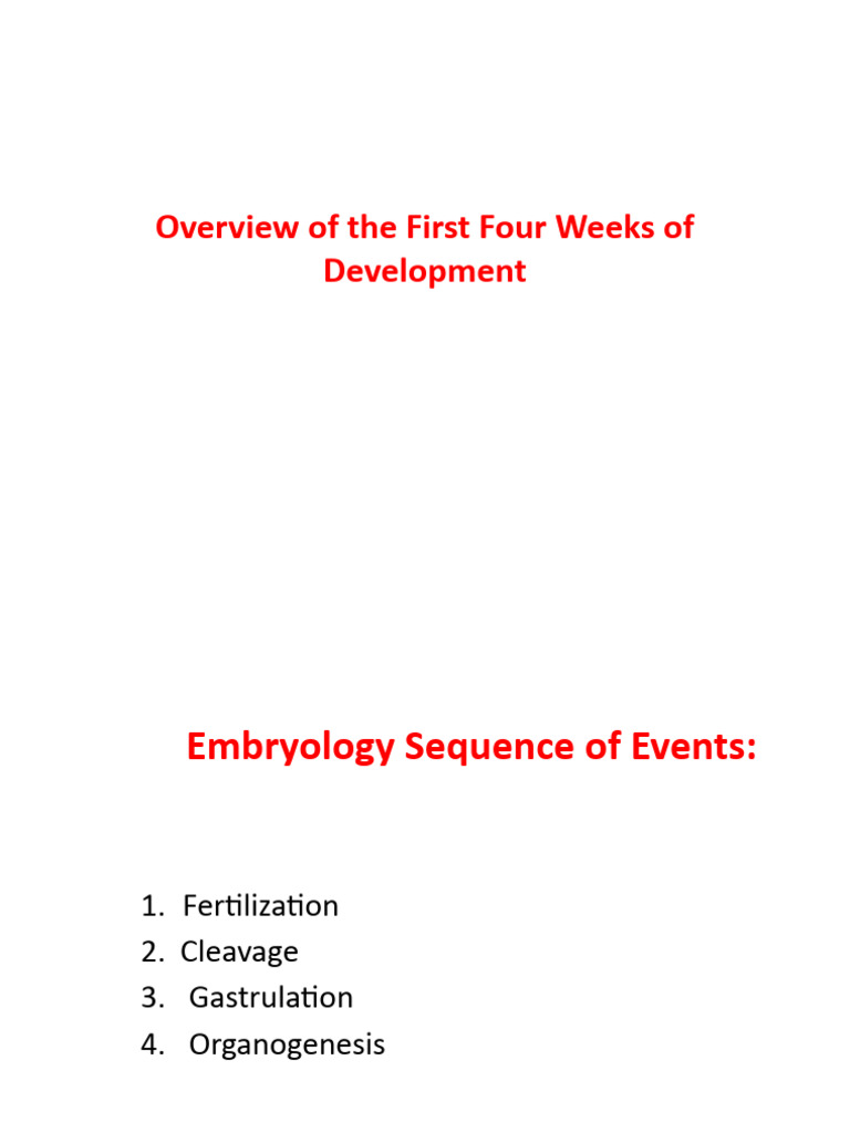 Embryonic Development: Weeks 1-4 Overview | PDF | Neuroscience ...
