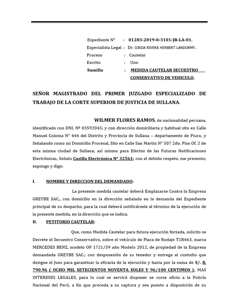 Medida cautelar embargo secuestro conservativo vehicular wilmer