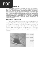 Download Tissue culture by Archy Calizo SN7456992 doc pdf