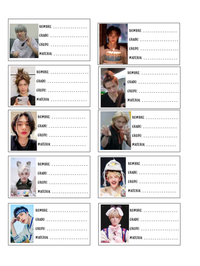 Etiquetas Escolares de Stray Kids | PDF