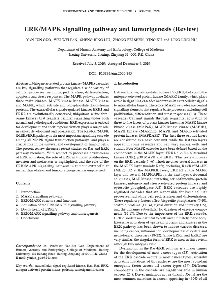 ERK - MAPK Signalling Pathway and Tumorigenesis (Review) | PDF ...