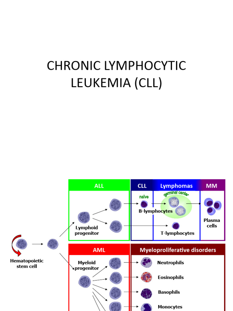 Chronic Lymphocytic Leukemia | PDF | Lymphoma | B Cell