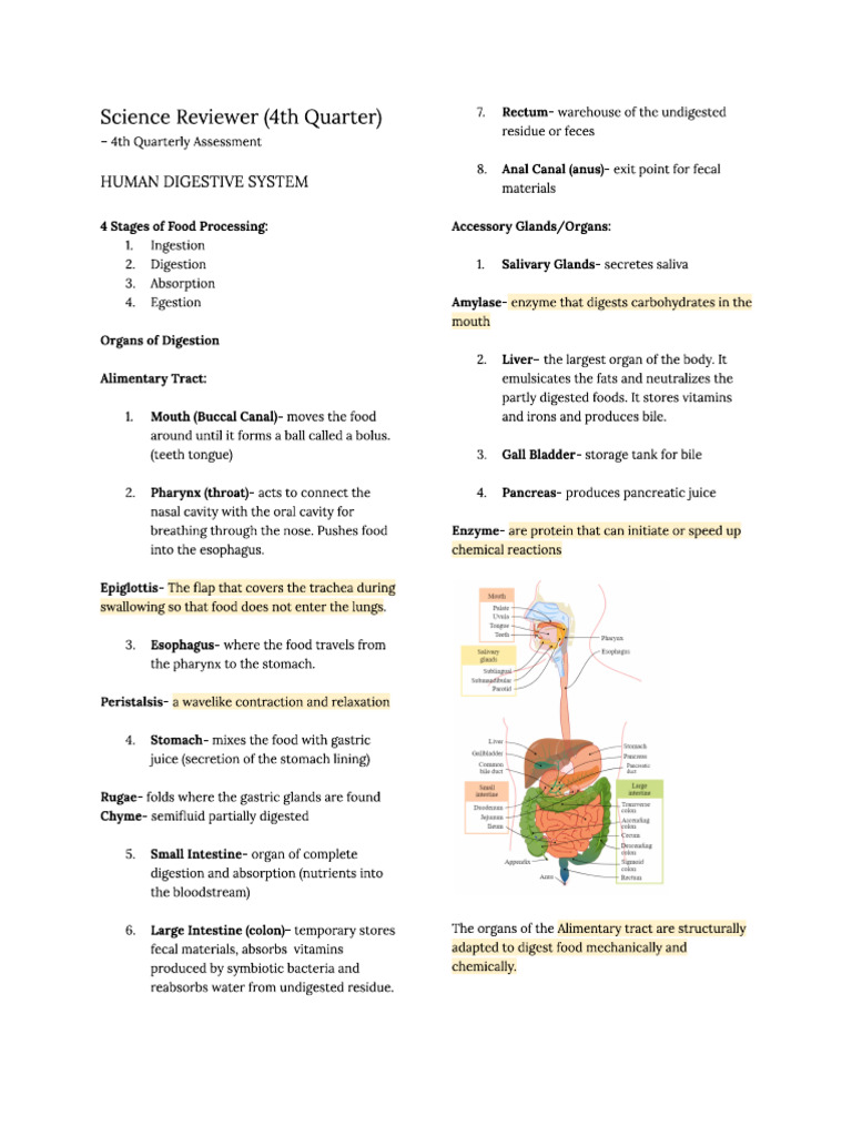 Sci Rev (4th Quarter) | PDF
