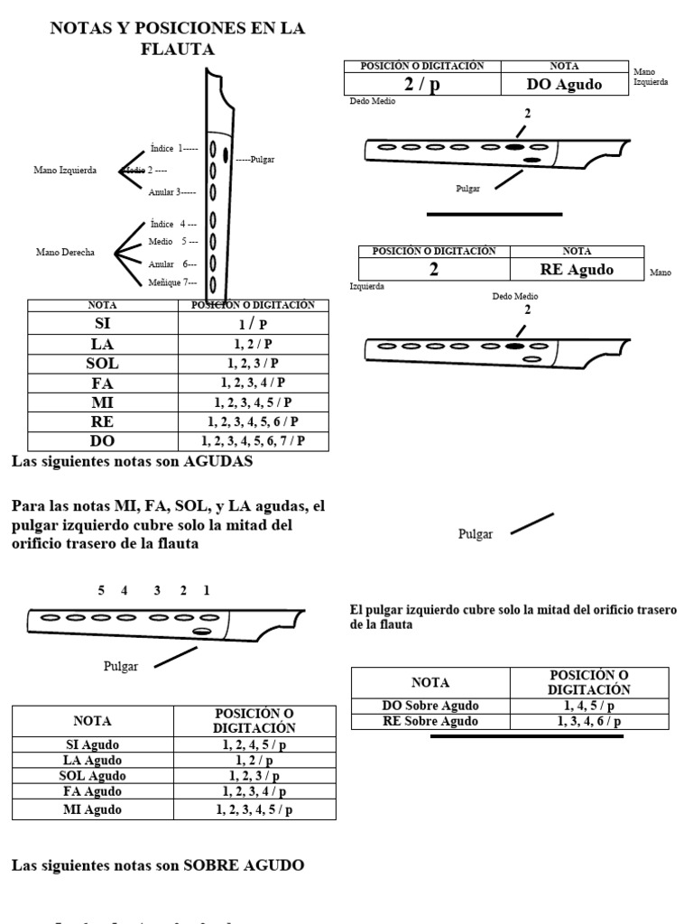 Notas y posiciones en la flauta | PDF | Notación musical | Teoría musical
