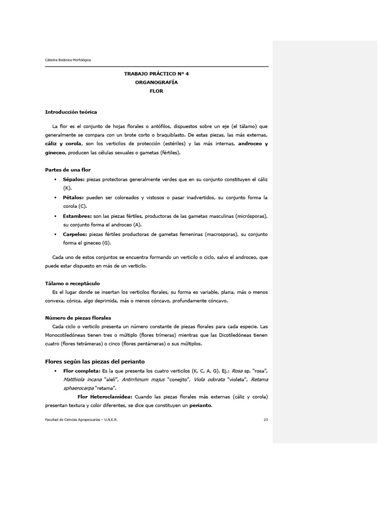 Estructura y Tipos de Flores en Botánica | PDF | Flores | Reproducción ...