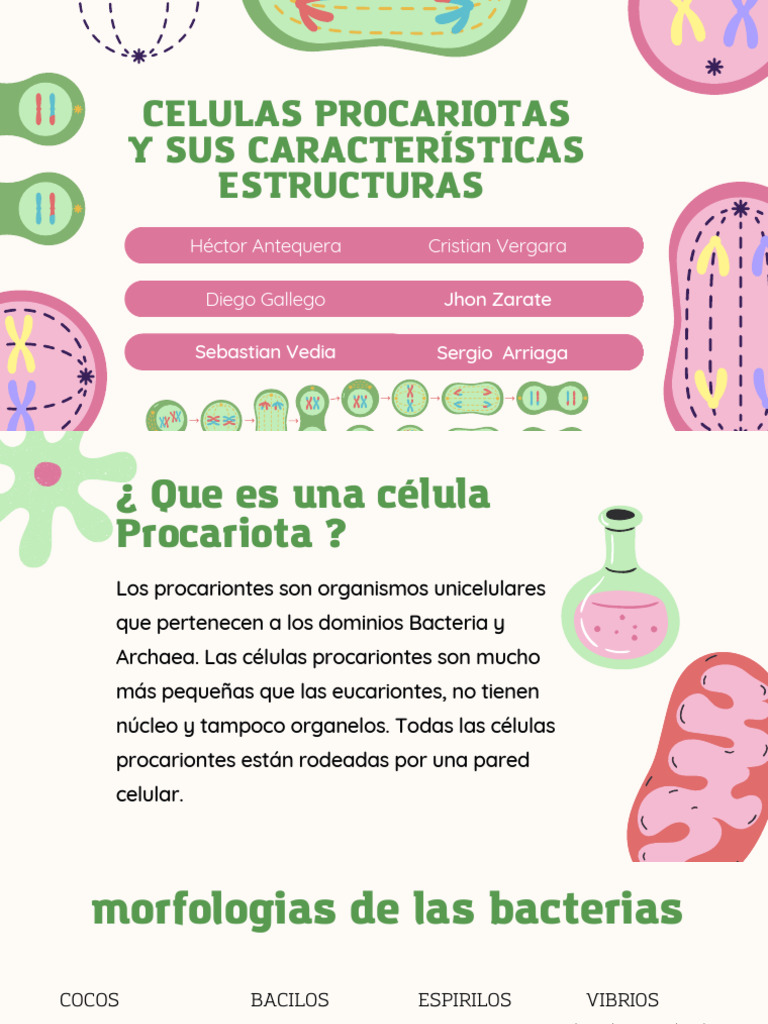 Características de Células Procariotas | PDF | Biología Celular) | Las ...