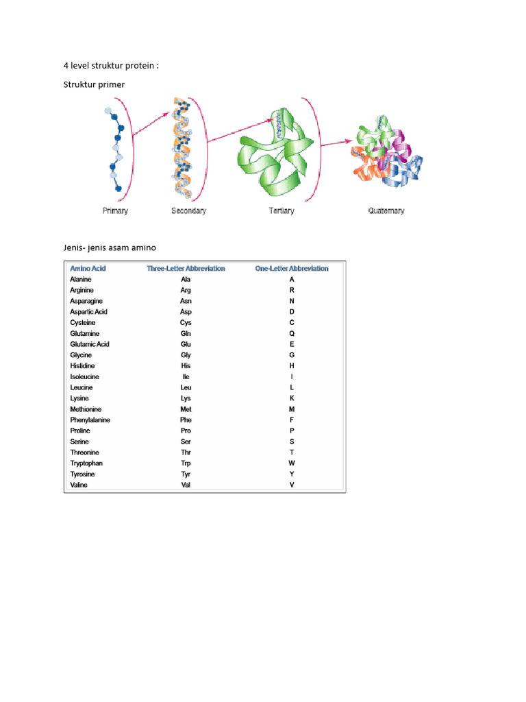 4 Level Struktur Protein | PDF