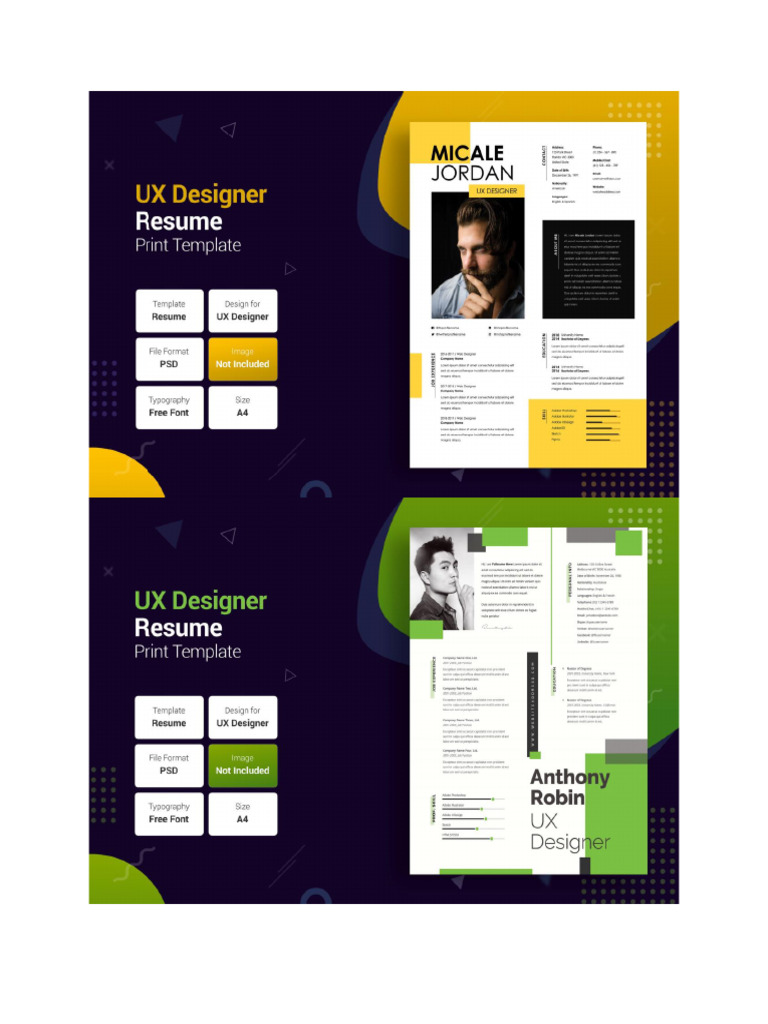 SAMPLE Template Desain CV Dan Resume Profil Profesional | PDF