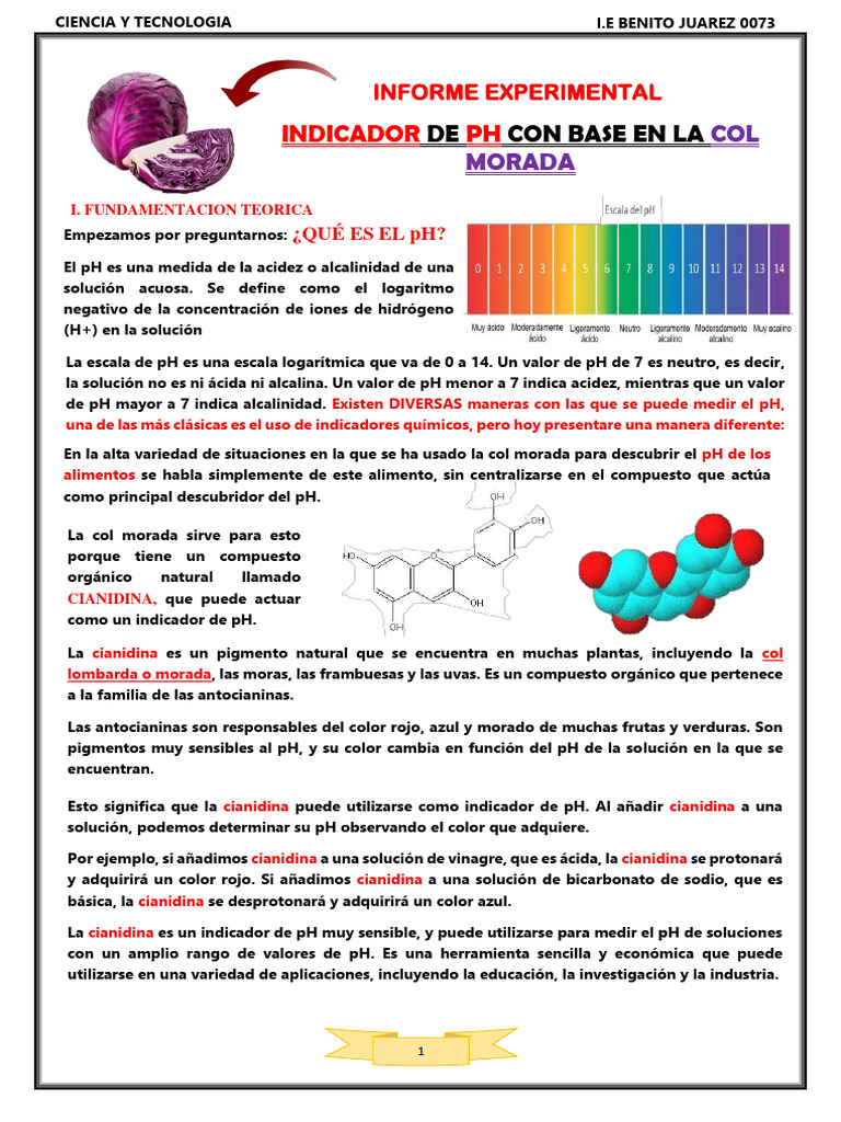 Col Morada PH - Ciencia y Tecnologia | PDF | Ph | Química