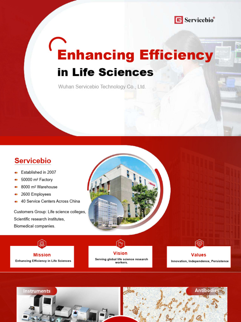 Servicebio: Life Sciences Efficiency | PDF | Agarose Gel ...