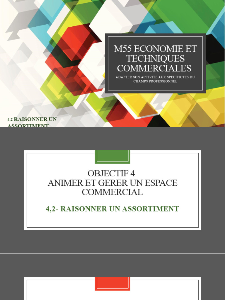 m55 Obj 4 2 Raisonner Un Assortiment | PDF | Économie d'entreprise ...