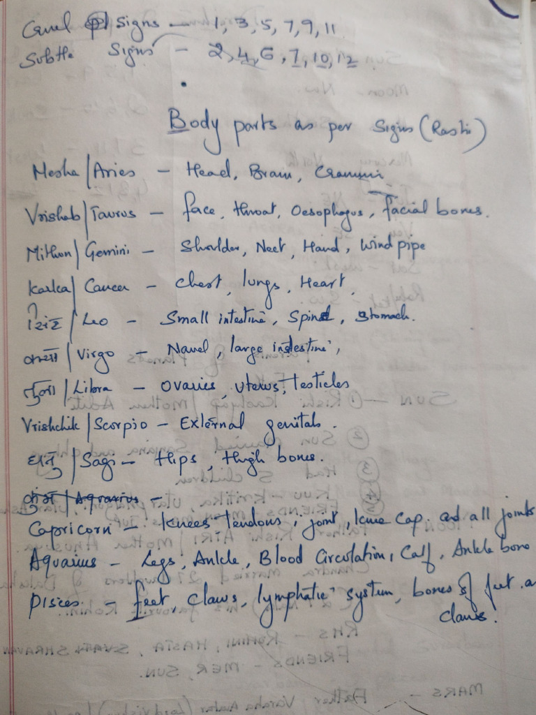 Body Parts | PDF