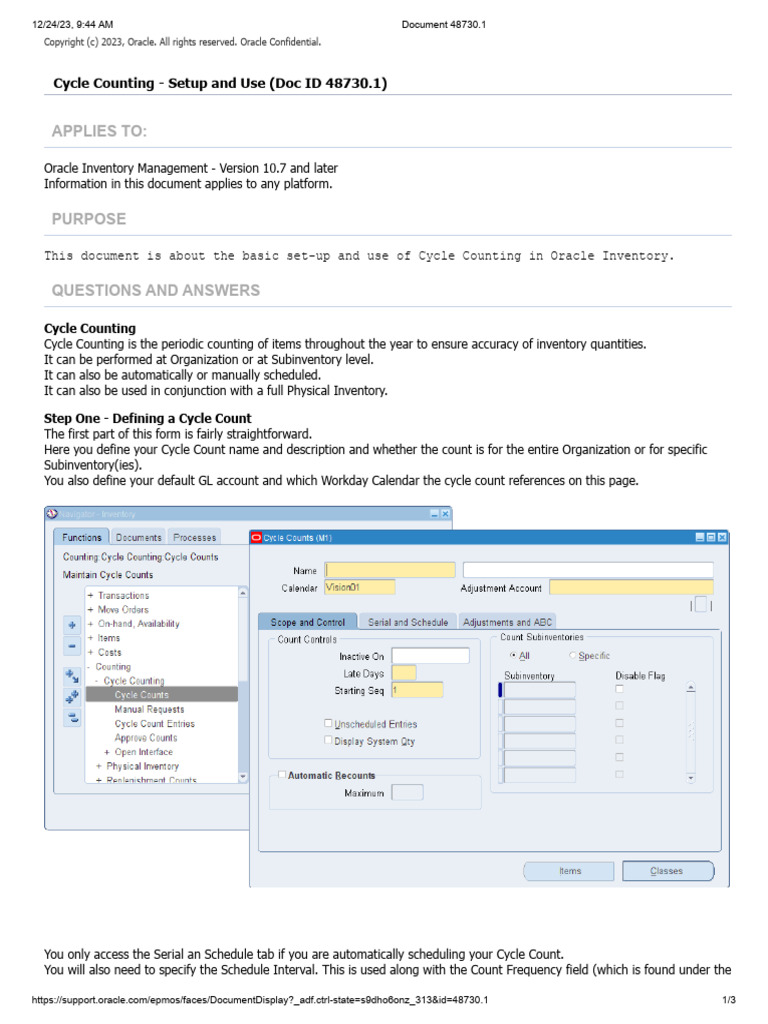 Cycle Counting - Setup and Use | PDF | Computing