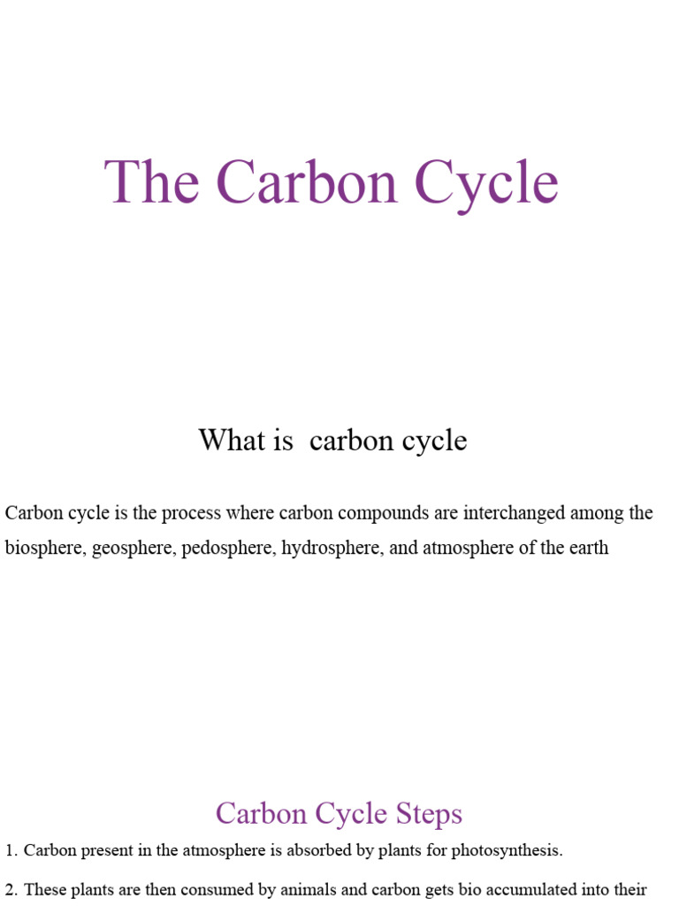 Understanding the Carbon Cycle Process | PDF | Carbon Cycle | Carbon