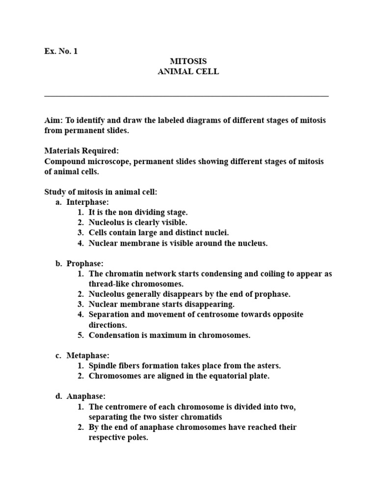 Grade 10 Experiments Pdf Mitosis Ear