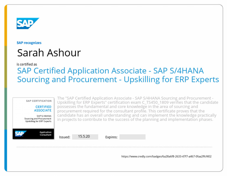 Sap S 4hana Sourcing And Procurement Upskilling For Erp Experts