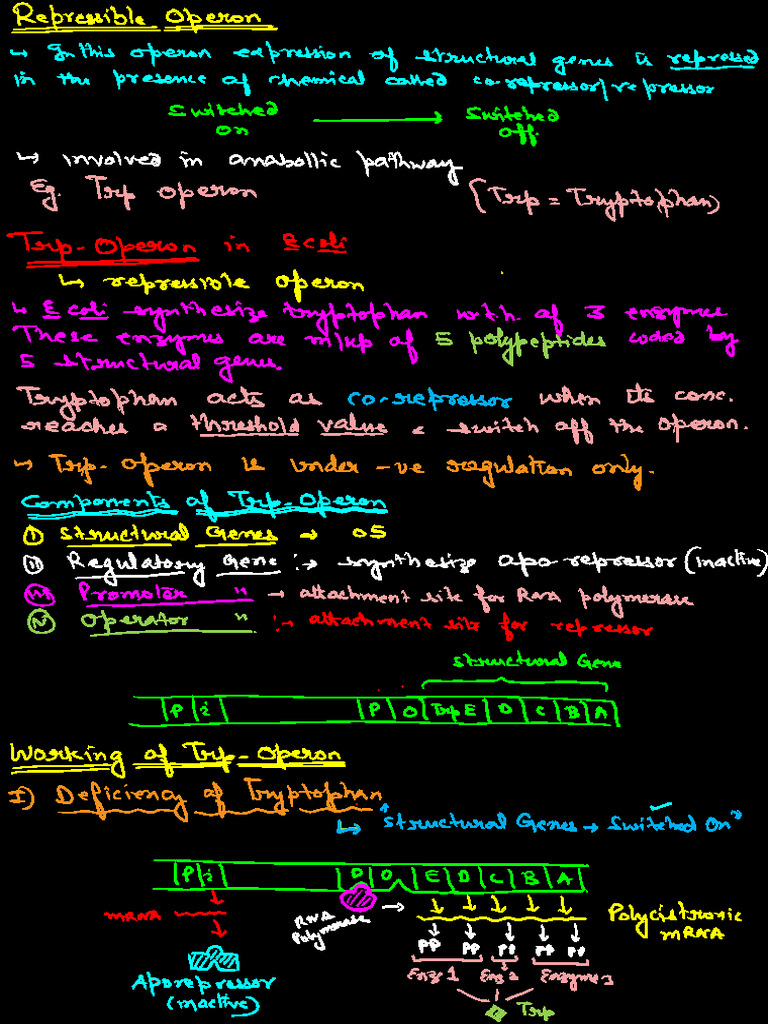 Operon + Dna Finger Printing | PDF
