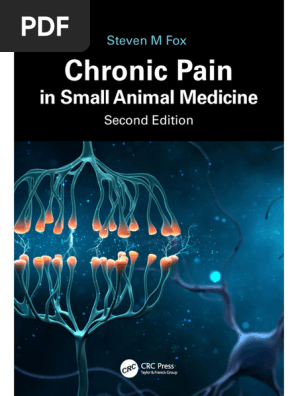 Chronic Pain in Small Animal Medicine, 2nd Edition | PDF | Axon | Pain