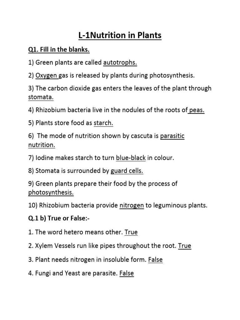 NUTRIENTS IN PLANTS QUESTION ANSWERS visual data 3