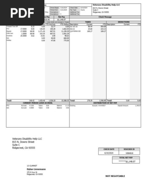 CheckStubsReport_20240610153828