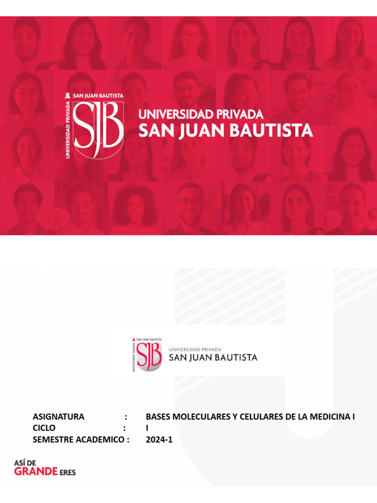 Practica 13 Quimica | PDF | Mezcla | Sustancias químicas