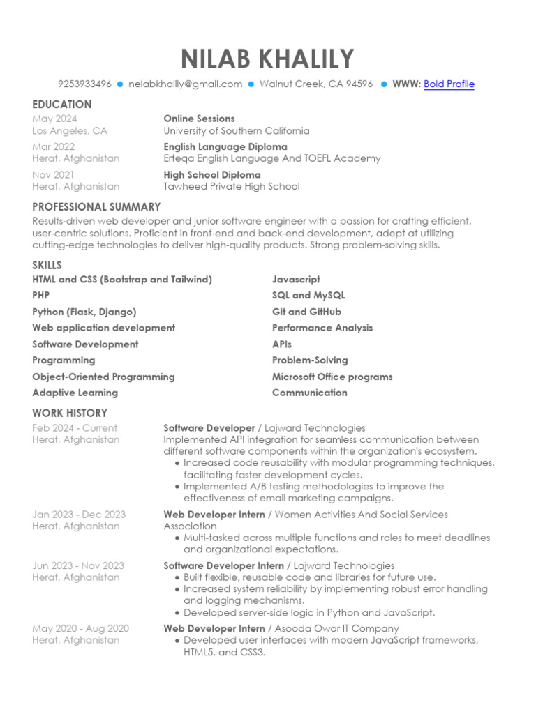 Web Developer & Software Engineer Profile | PDF | World Wide Web ...