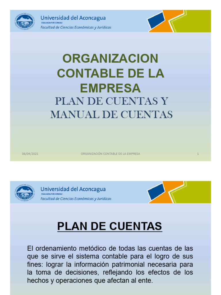 Guía de Plan y Manual de Cuentas | PDF | Contabilidad | Business