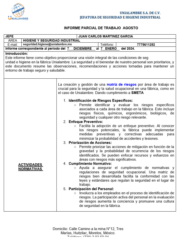 Informe de Seguridad e Higiene 2024 | PDF | Seguridad y salud ...