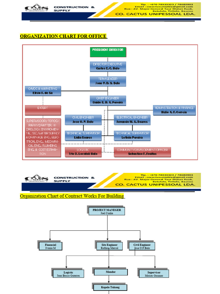 Job Structural Cactus | PDF