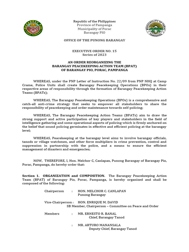 barangay-peacekeeping-action-team-pdf-public-safety-government
