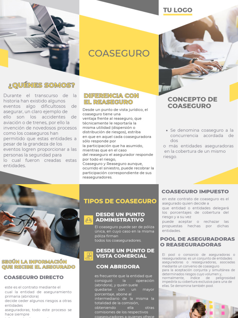 Coaseguro: Concepto y Tipos Esenciales | PDF | Reaseguro | Seguro