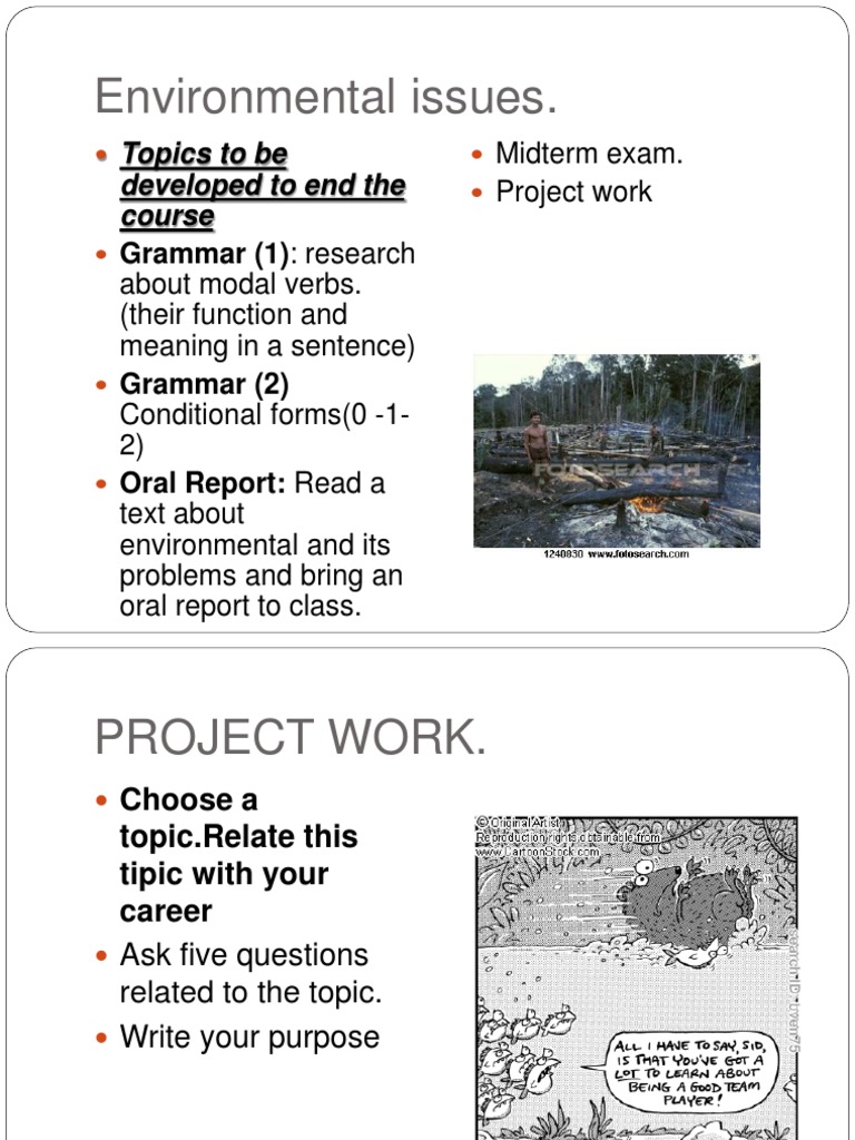 Environmental Issues Course Overview | PDF